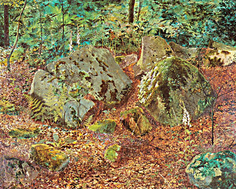 A Mossy Glen 1864