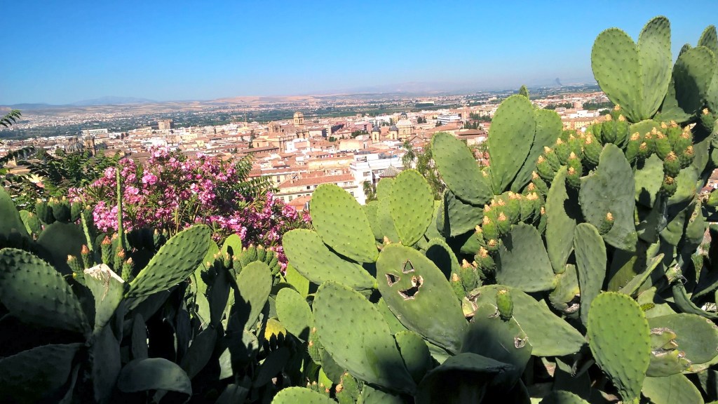 City of Dreams… 11. Insider Secrets to Discover the Magic of Granada