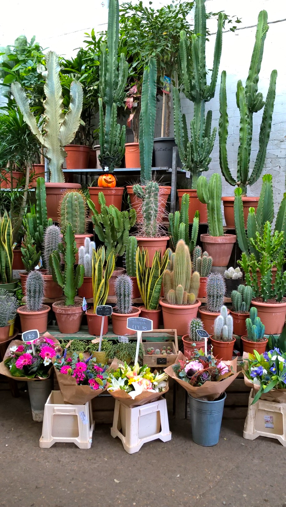 The Best Garden Centre In East London Is Also Absolutely Gorgeous