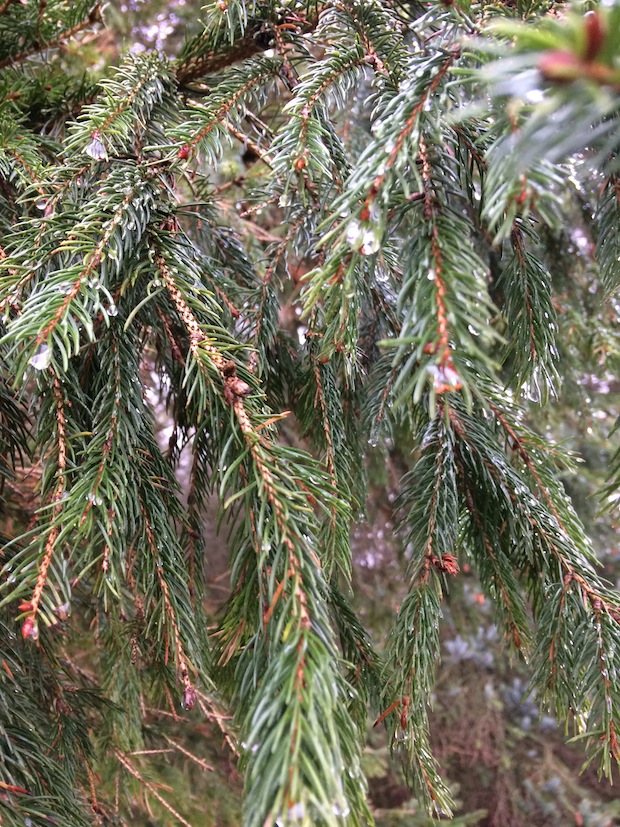 img_0839