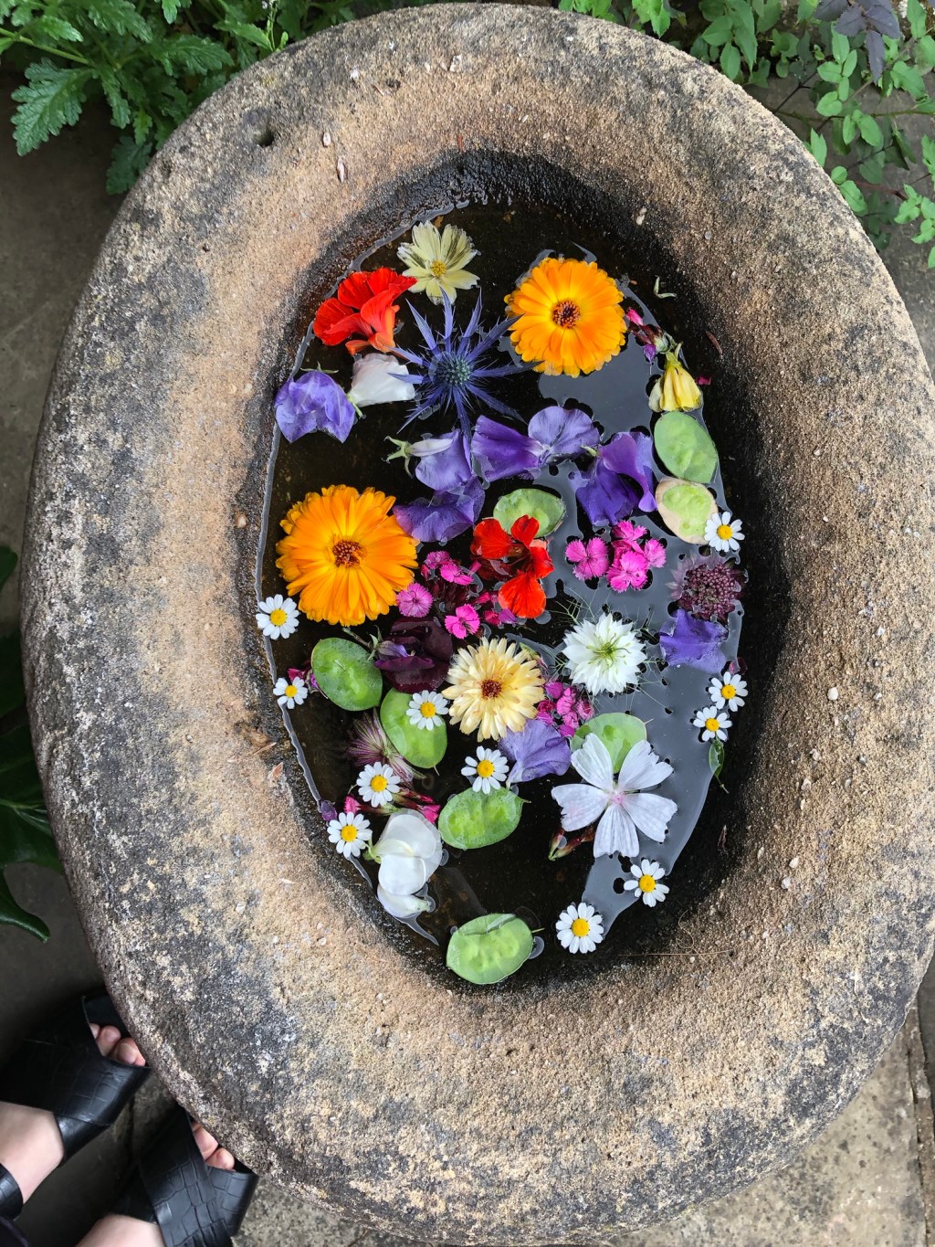 Come What May… 8. Pictures That Help Me Appreciate The Delicate Balance Between Humans & Nature This Beltane 🌸